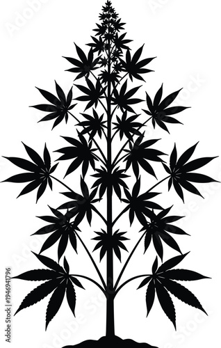 Black cannabis plant silhouette vector isolated on white background for medical marijuana dispensary branding herbal medicine leaf icons hemp industry products and botanical designs