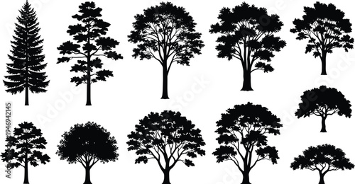 Black fern leaf silhouettes set isolated on white background featuring tropical fronds and spiral fiddlehead shapes for botanical nature patterns and elegant vector illustrations