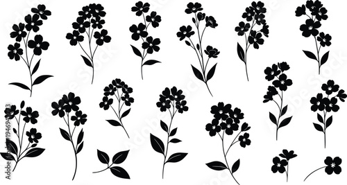 Black silhouette collection of delicate forget me not flowers and wild field blossoms with stems and leaves isolated on white background for spring design