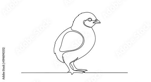 Minimalist single line drawing of a chick standing on a line, white background