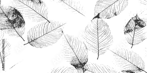 Vector black leaf veins on a white background.