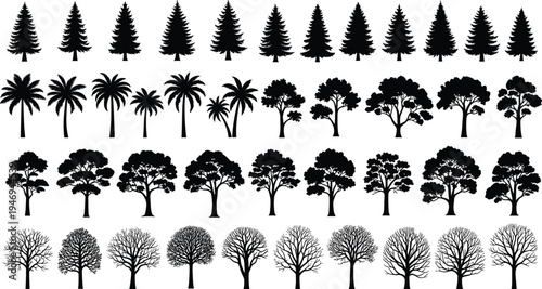 Black tree silhouettes set isolated on white background including pine palm oak deciduous and winter bare branches for nature landscape and architectural vector design