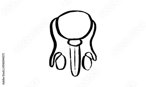 Male reproductive system