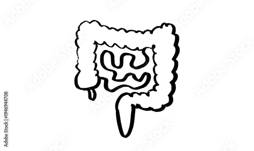 Human intestine sketch