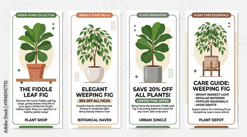 A collection of vertical banner templates featuring pot-grown fiddle leaf and weeping figs, with space for text. Vector artwork designed for houseplant or plant cultivation shop ads and promotions