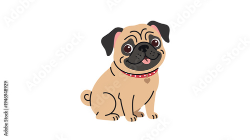 A pug or Dutch mastiff, an adorable and humorous purebred companion or toy dog, presented alone on a white backdrop, depicted as a charming, small domestic pet in a bright, flat cartoon vector