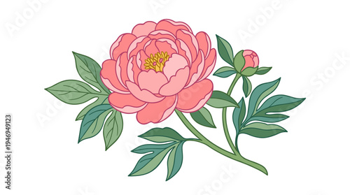 A peony flower and leaf, a floral blossom with a gorgeous bloom, bud, delicate petals and leaves, rendered as a natural botanical design element in a retro hand‑drawn vector illustration set against