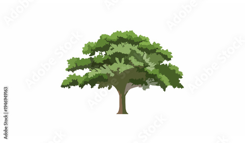 Eco Friendly Tree Illustration Realistic Nature Vector Design