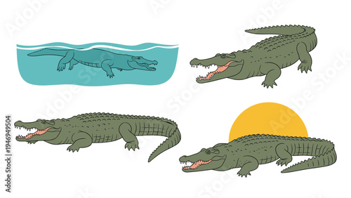 Collection of green crocodile illustrations shows the reptile swimming, walking, and posing with an open mouth.