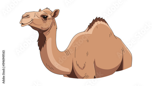 Detailed illustration of a camel shows the head and upper body of the desert animal with a calm and gentle expression.