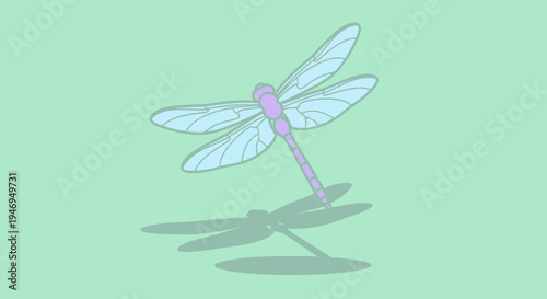 Minimalist pastel dragonfly art with a soft shadow on a serene green background.