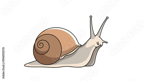 Brown garden snail with a spiral shell crawling slowly across a plain white surface in a side view illustration.