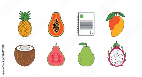 Colorful tropical fruits and notebook illustration