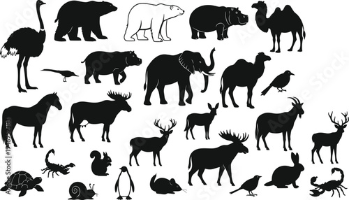 Diverse Set of Black Animal Silhouettes, Elephant Bear Moose and Camel Wildlife Icons for Nature Design Isolated on White Background