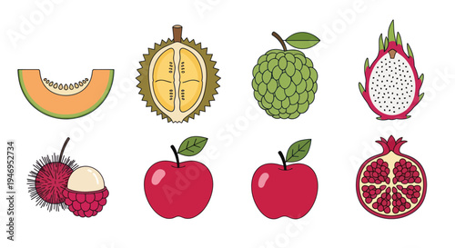 Colorful tropical fruits vector illustration
