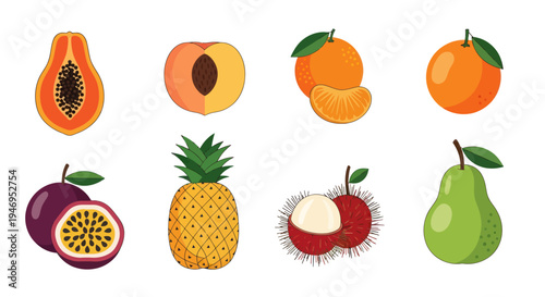 Colorful tropical fruits vector illustration