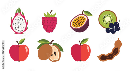 Colorful vector illustration of various fruits