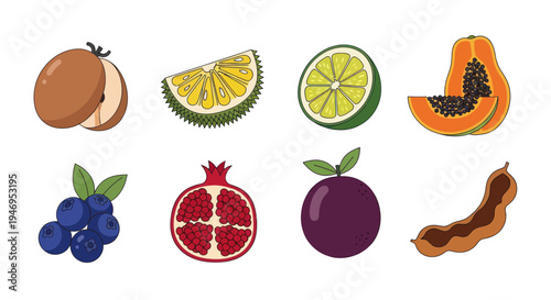 Colorful vector illustrations of various fruits
