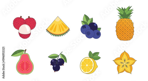 Colorful vector illustrations of various fruits