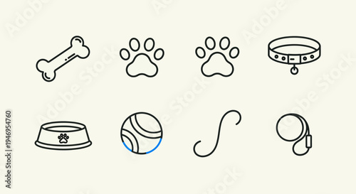 Dog accessories bone paw prints collar