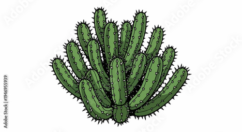 An illustration of a vibrant green desert cactus with numerous spiky stems, isolated on a white background