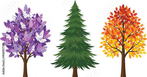 Set of seasonal trees including purple blooming lilac green evergreen pine and autumn maple isolated on white background for nature design