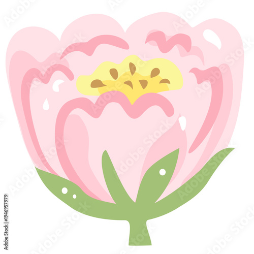 Pink Peony Flower Illustration with Green Leaves