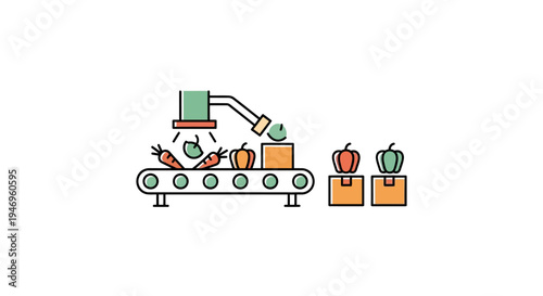 Automated Vegetable Packaging Factory Line.