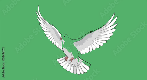 An illustration of a green and white dove with outstretched wings flying against a solid green background