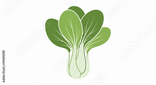 A fresh bok choy vegetable, featuring vibrant green leaves and light green stalks, illustrated simply