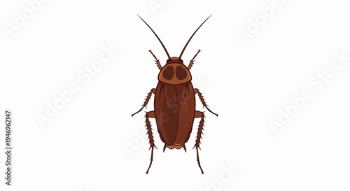 Top-down cartoon illustration of a brown cockroach with antennae and six legs on a white background (1)