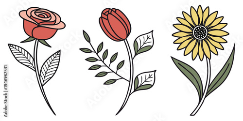Colorful illustrations of rose, tulip, and sunflower
