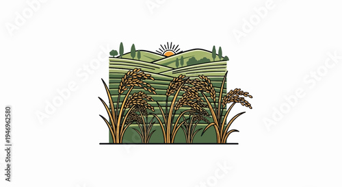 Vibrant illustration of a rice paddy field with golden grains under a sunrise in a hilly landscape