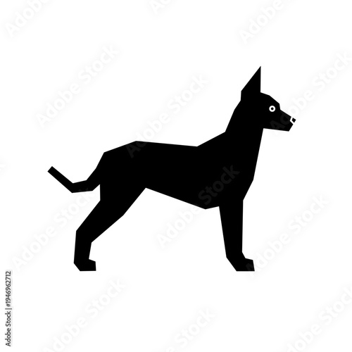 Xoloitzcuintle
