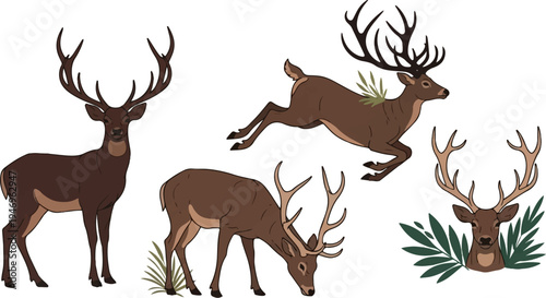 Set of brown deer illustrations standing, grazing, leaping stag, and a deer head with foliage, flat style