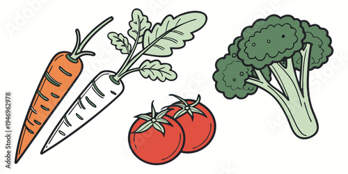 Colorful illustration of fresh vegetables including carrot, turnip, tomatoes, and broccoli on a pure