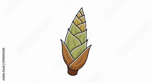 Illustration of a green and brown plant bud, showing layered scales on a white background