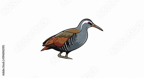 Stylized illustration of a brown and grey bird with a long beak and red eyes on a white background