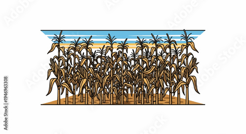 An illustration of a golden cornfield with mature maize plants and cobs under a striped sky