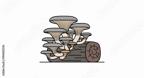 An illustration of grey and brown mushrooms growing from a brown log with visible tree rings