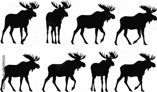 Black silhouettes of moose in various walking positions on white background