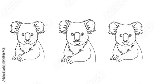 Three Outline Koala Bear Characters on White Background