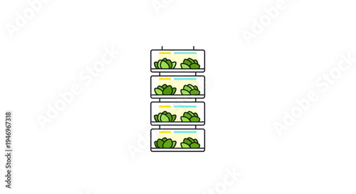Broccoli in refrigerator storage boxes.