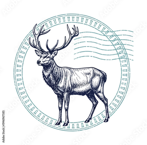 Vector of a majestic stag with antlers enclosed in a circular stamp-like design