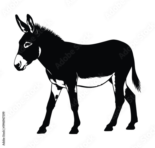 Vector of a walking donkey with a shaggy mane and tail