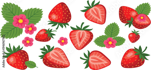 Adobe Illustrator Artwork