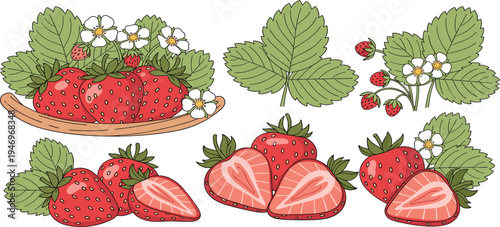 Fresh Strawberries and Leaves Icon Set Featuring Whole, Sliced, and Strawberries with Blossoms for Food and Gardening Designs