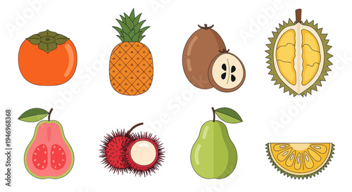 Variety of tropical fruits illustrated