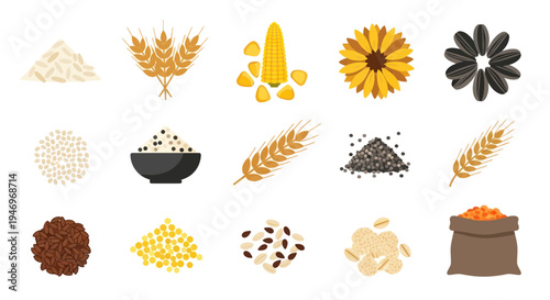 Various grains and seeds isolated on white