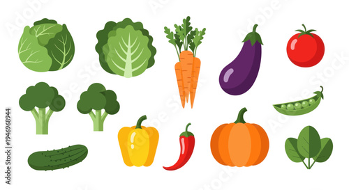 Vegetable assortment graphic illustration
